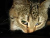 Фотография Климкиной Светланы