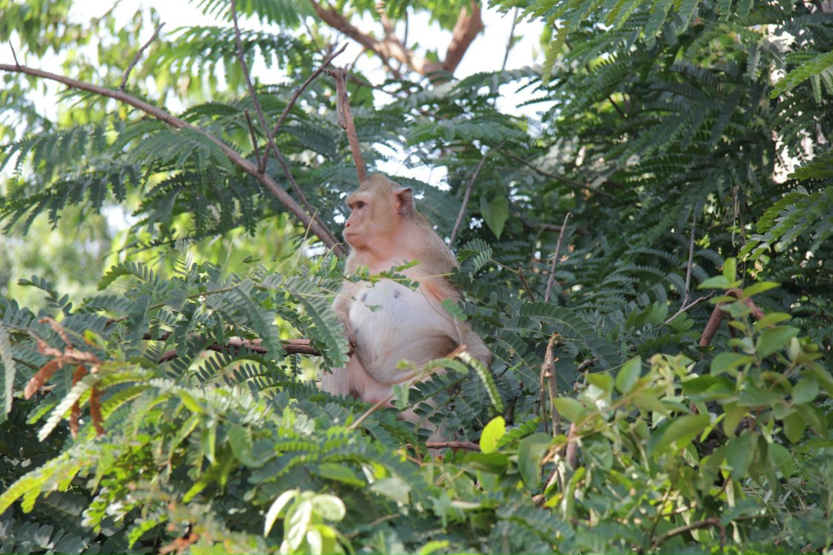 Дмитрий Симонов фотография #34