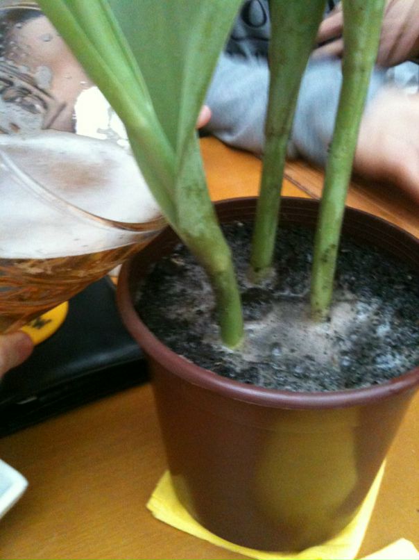 Андрей Рыженко фотография #34