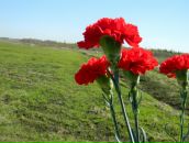 Фотография Бахиревой Кристины