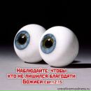 Сергій Трач фотография #5 (источник - https://vk.com/id87515233)