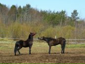 Фотография Мовчан Русланы