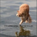 Дмитрий Гвоздев фотография #28 (источник - https://vk.com/id965900)