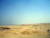 Дмитрий Плотников фотография #41 (источник - https://vk.com/id378898)