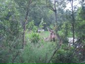 Jackie Chan фотография #49 (источник - https://vk.com/id6684483)