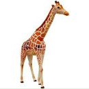 Фотография Пономарёв Дмитрий