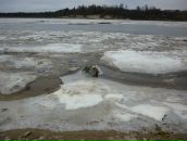 Степан Шадрин фотография #32 (источник - https://vk.com/id8910732)