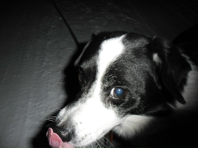 Ян Оболевич фотография #22