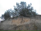 Василь Війтович фотография #1