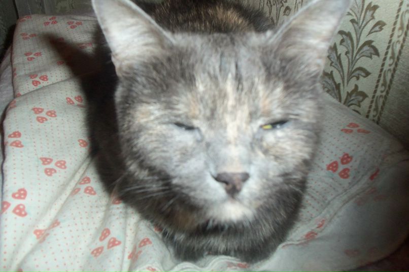 Туся Васисуальевна фотография #6