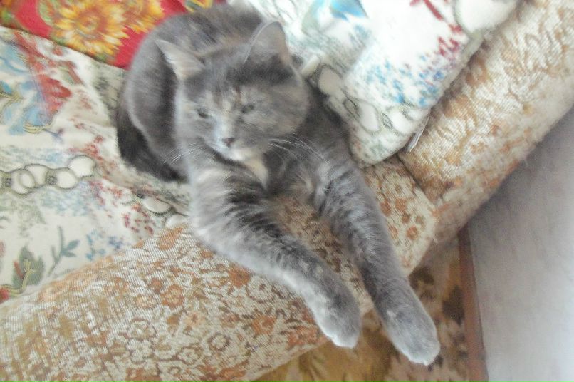 Туся Васисуальевна фотография #5