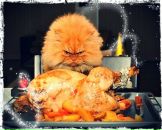 Alex Alex фотография #32 (источник - https://vk.com/id862591)