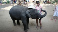 Анна Матвеенко фотография #33 (источник - https://vk.com/id982526)