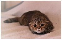 Εвгений Κузьмин фотография #1