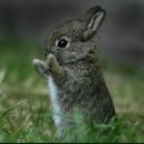 Фотография Гоппе Натальи