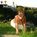 Фотография Ждановой Юлии