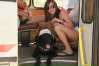 Фотография Зайцев Евгений