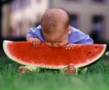 Фотография Эльмир Кулиев