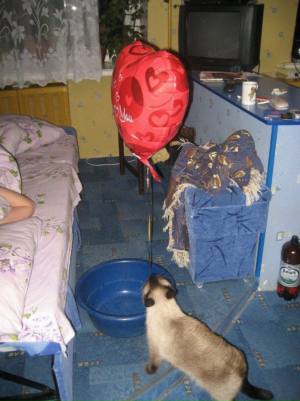 София Иванова фотография #13