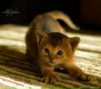 Фотография Гордеевой Анны