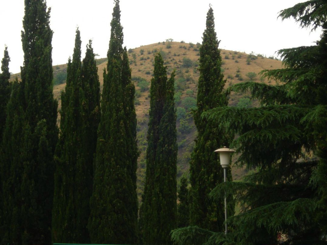 Викуля Дедичева фотография #38