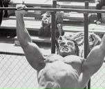 Фотография Романченко Станислава