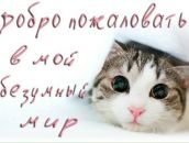 Фотография Еленик Анны