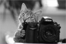Фотография Темникова Михаила