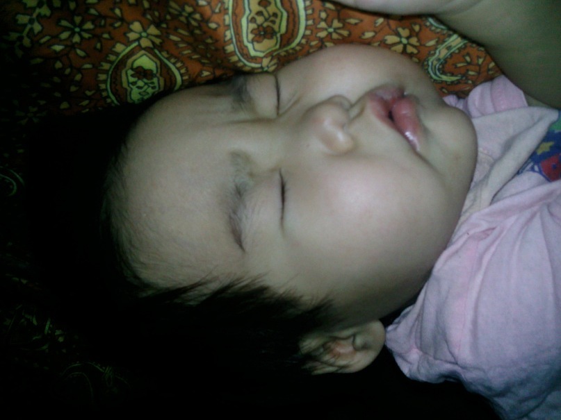 Василий Плотников фотография #14