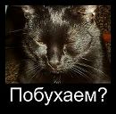 Юра Сільчук фотография #5 (источник - https://vk.com/id167626839)