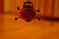 Фотография Митяевой Юлии