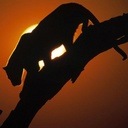 Фотография Елизавета Лизочка