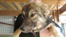 Фотография Еналиев Альберт