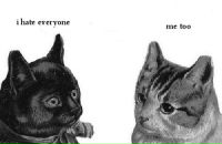 Дарья Козел фотография #19 (источник - https://vk.com/id517013)