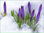 Фотография Шашковой Марины