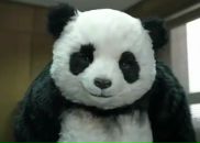 Фотография Кондраненковой Марианны