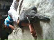 Alexander Nechaev фотография #10 (источник - https://vk.com/id4324171)