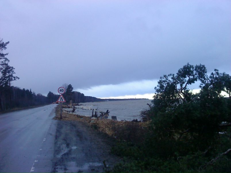 №5, Анна №5, Анна