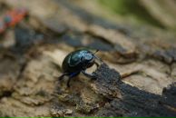 Виталий Маланин фотография #37 (источник - https://vk.com/id698311)