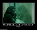 Богдан Вітинський фотография #22 (источник - https://vk.com/id21067711)