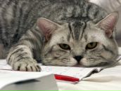 Фотография Семёновой Настеньки