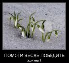 Фотография Кудрявцева Антона