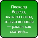 Богдан Пінчук фотография #44 (источник - https://vk.com/id138072057)