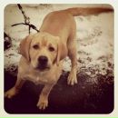 Vasya Mardinsky фотография #4 (источник - https://vk.com/id300727)