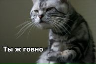 Сергій Мануйленко фотография #8 (источник - https://vk.com/id4032004)