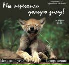 Фотография Вырина Михаила