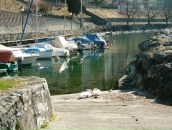 Анна Баранова фотография #6 (источник - https://vk.com/id376790)