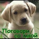 Катруся Поцілуйко фотография #11 (источник - https://vk.com/id57288733)