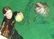 Фотография Соловьевой Кати