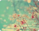 Фотография Васильевой Кристины